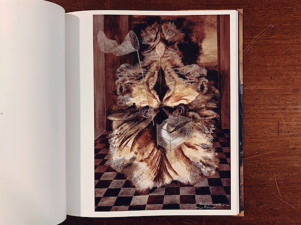 レメディオス・バロ Remedios Varo: The Mexican Years ｜ 2012