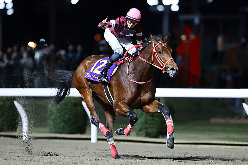 レース紹介｜全日本2歳優駿 2024年｜ダートグレード競走特設サイト