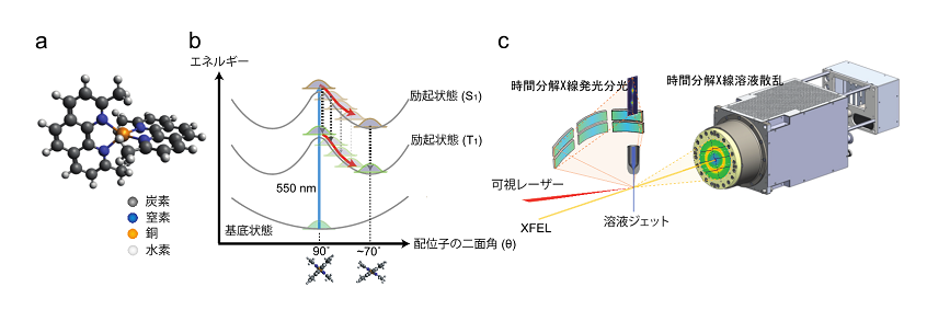 溶質と溶媒が相互に影響し合う機構を原子レベルで直接観測 － 光化学
