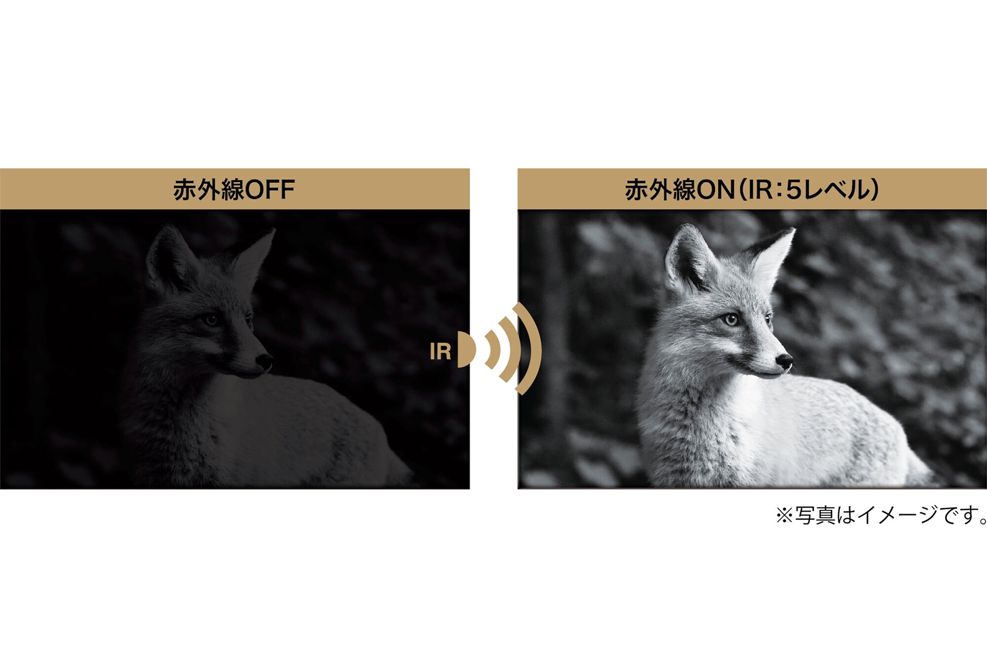 IRナイトレコーダー KC-NS07V | ケンコー・トキナー