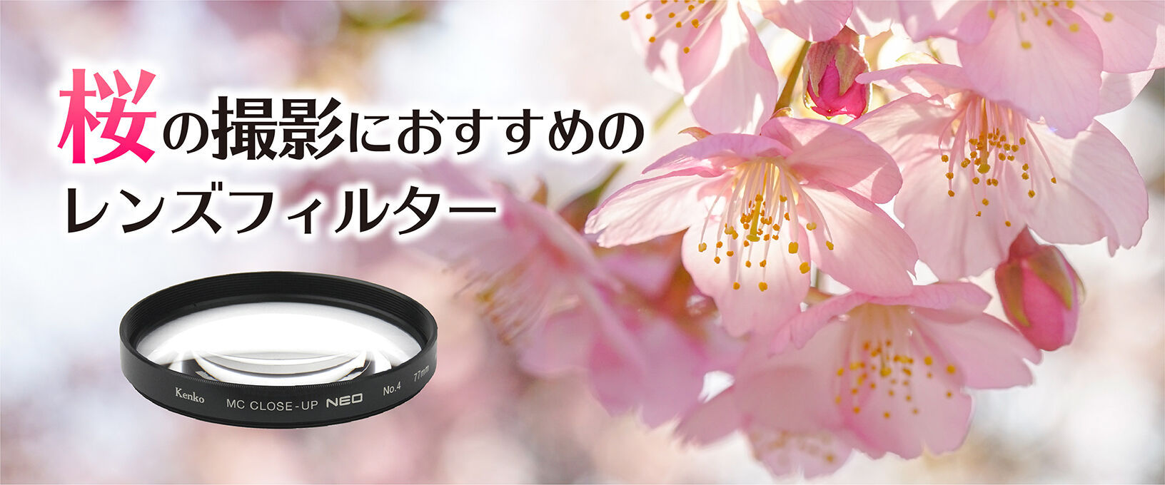 桜の撮影にオススメのフィルター | ケンコー・トキナー