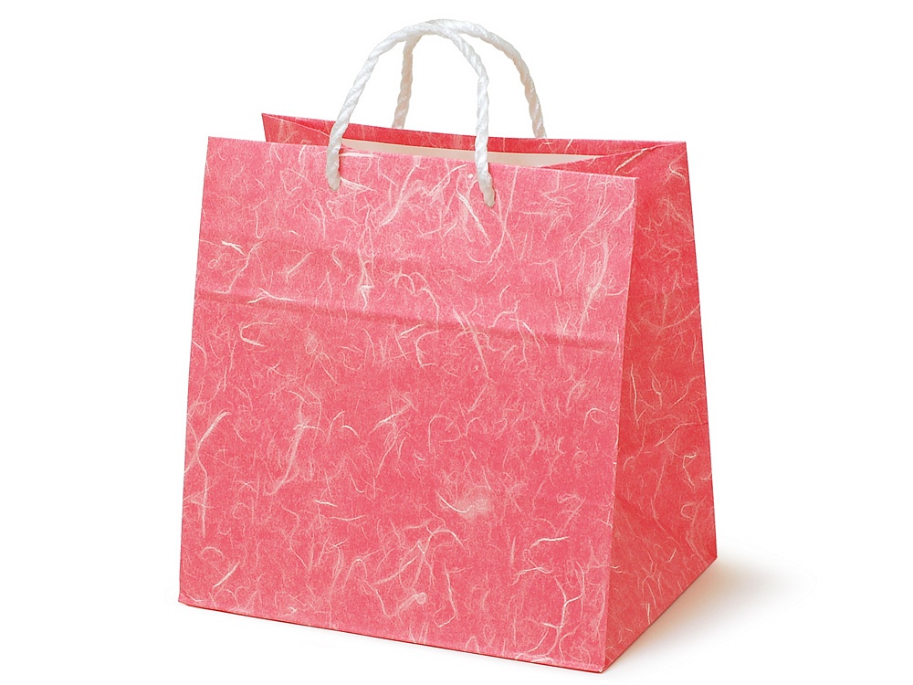 紙製手提袋 雲竜 大 赤【包】 | 紙製手提袋 柄入 | ネットストア | 京