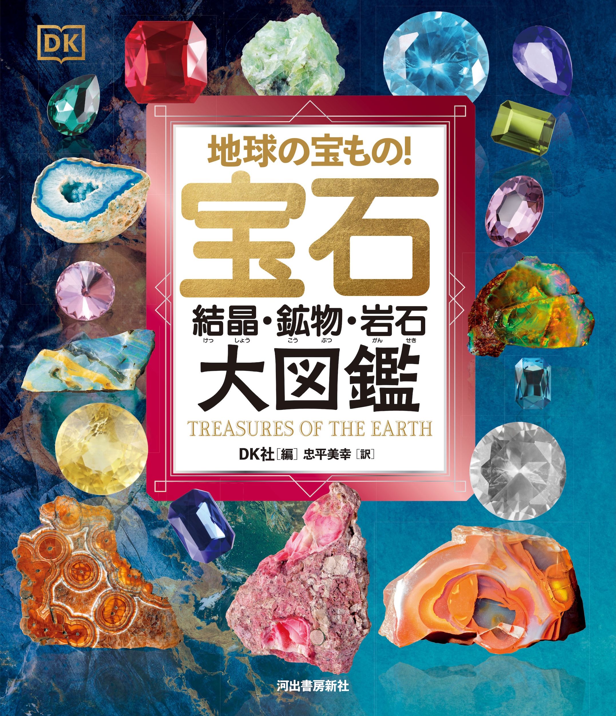 地球の宝もの！ 宝石・結晶・鉱物・岩石 大図鑑 :DK社,忠平 美幸