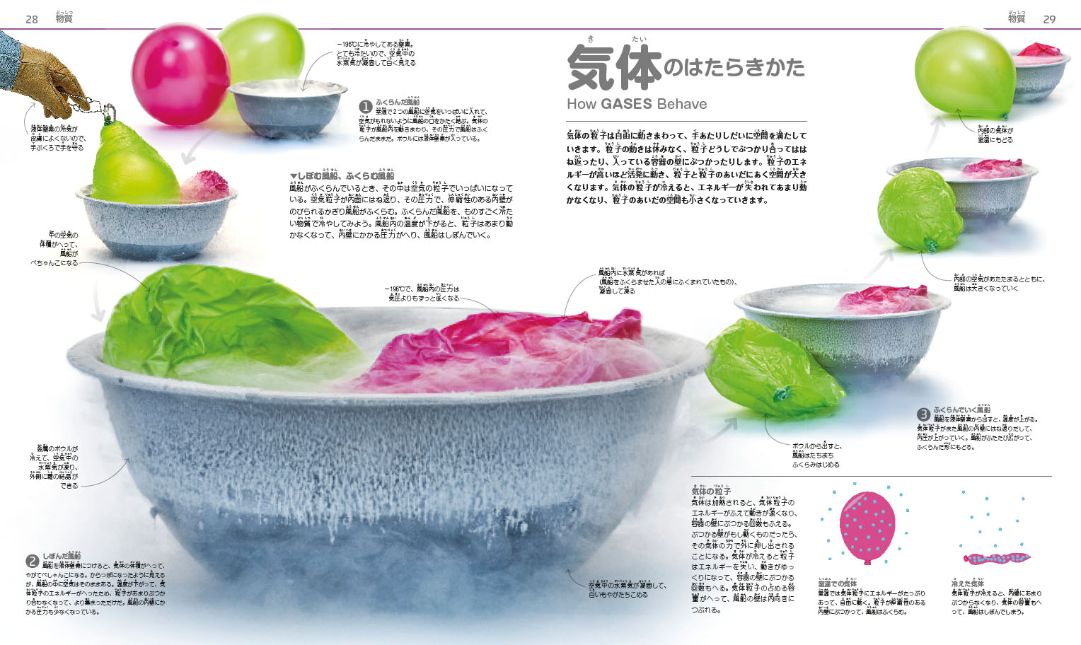 ジュニアサイエンス大図鑑 :スミソニアン協会,DK社,日暮 雅通 | 河出