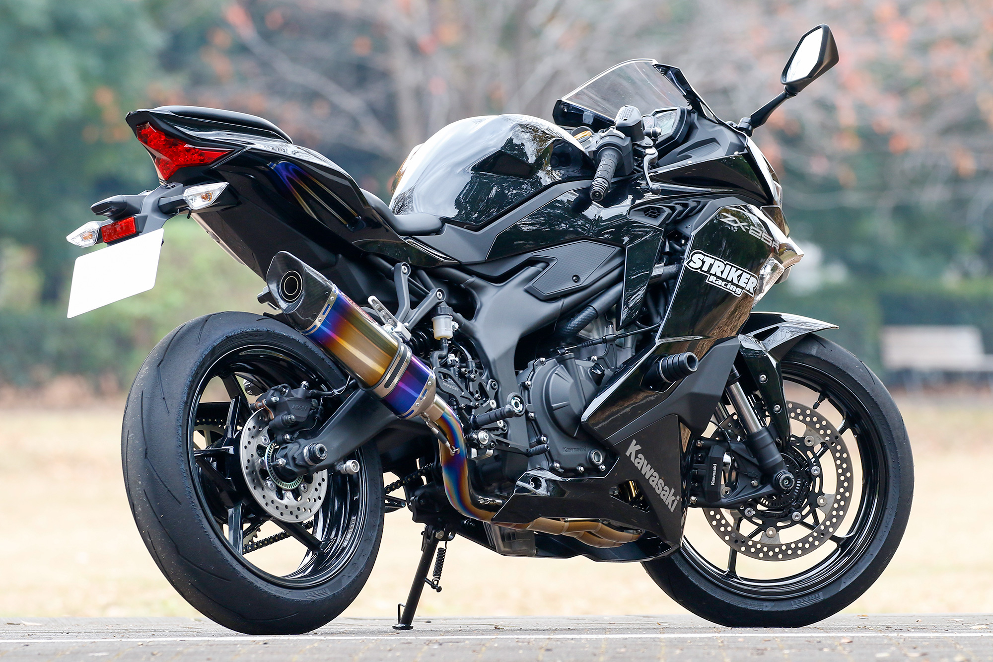 ストライダー TZ-8166 Spring Lever with Plastic Rod Actuator Limit