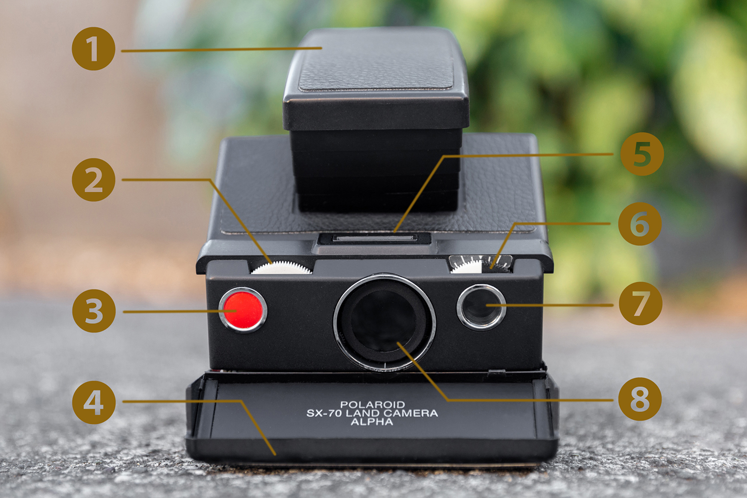 カメラマンがオススメするPolaroid SX-70 - ホームページ制作