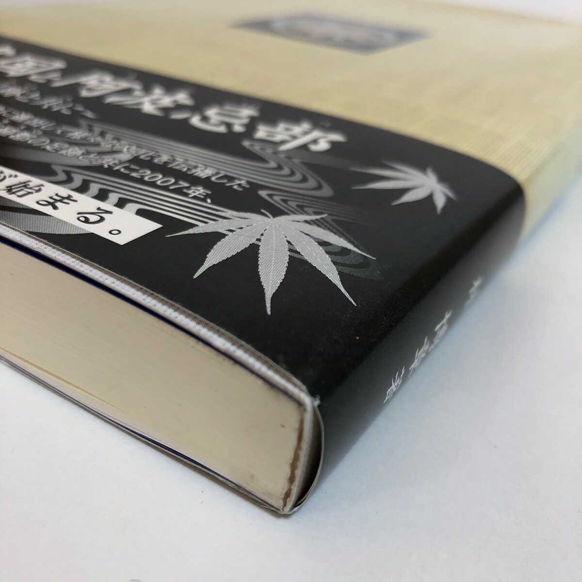 日本の建国と阿波忌部 〜麻植郡の足跡と共に〜 林博章 吉野川市鴨島町