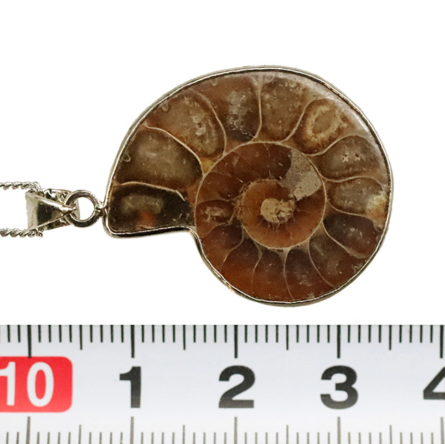 化石ファンのためにあしらわれた、個性的なジュエリー。マダガスカル産