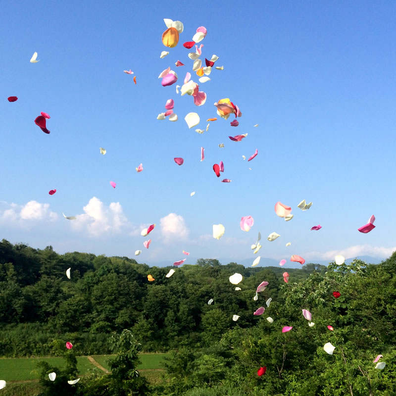 フラワーシャワー 生花｜結婚式・ブライダル・ウェディング｜熊谷園芸