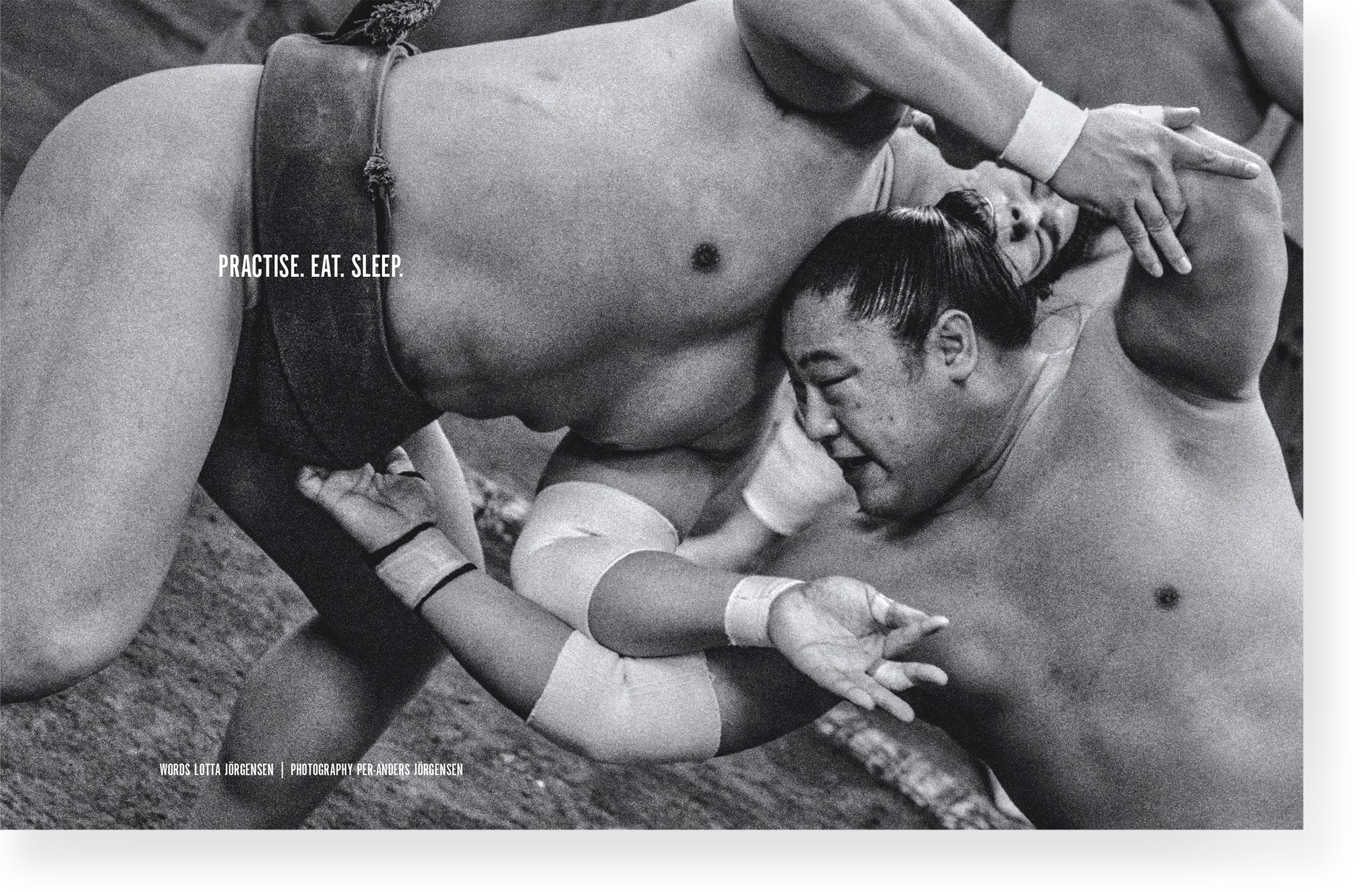 Fool #8: The Japanese Issue – Kitchen Arts & Letters