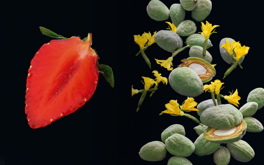 Buy Kei III by Kei Kobayashi – Kitchen Arts & Letters