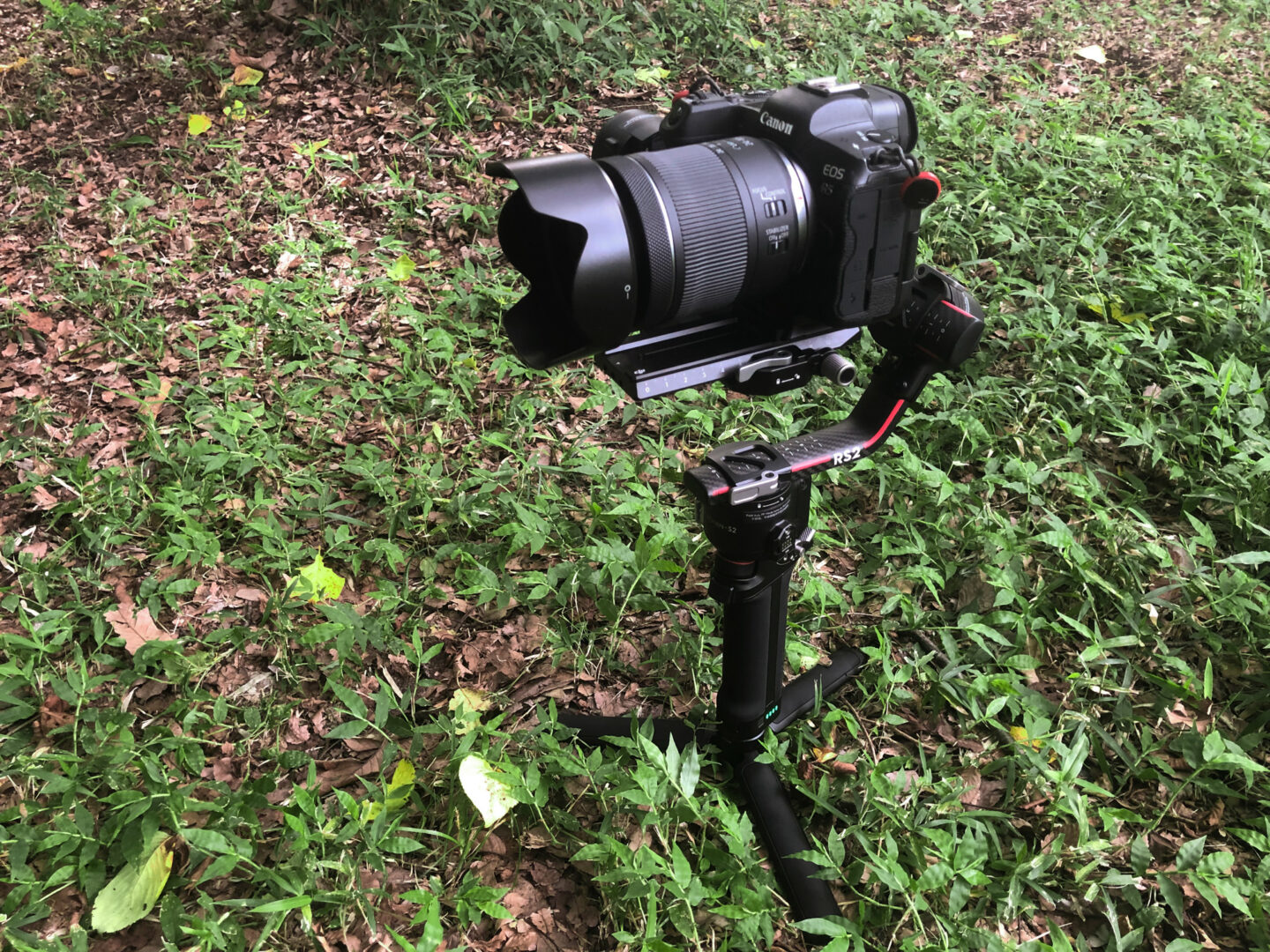 キヤノン RF24-105mm F4-7.1 IS STM レビュー｜持ち出しやすい軽量標準