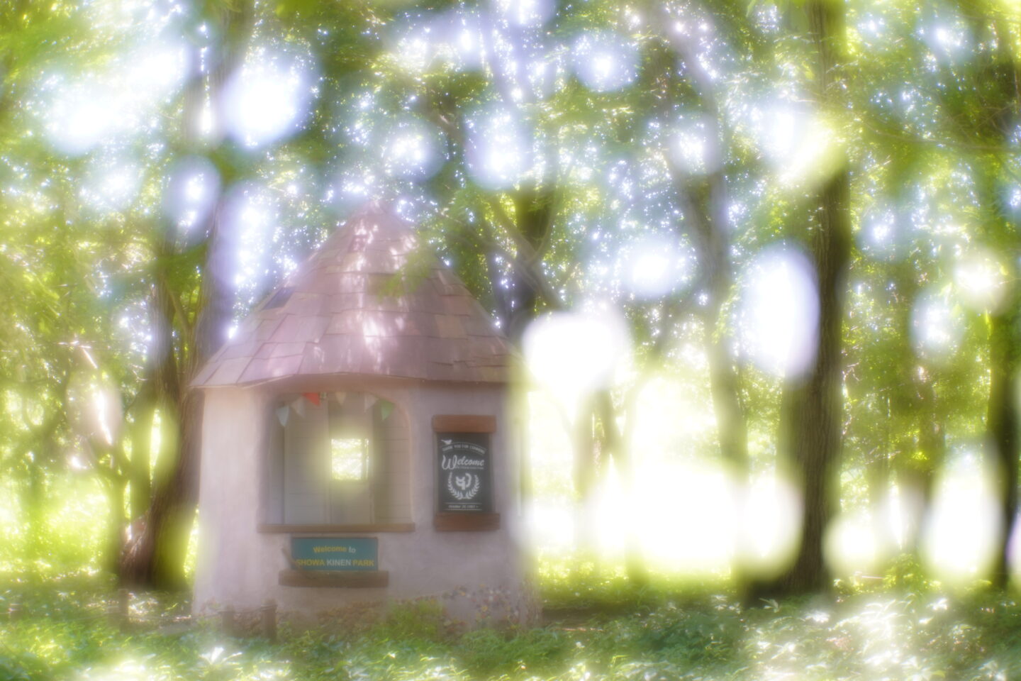 オールドレンズ】球面収差による優しいフレアが魅力的なレンズ 清原