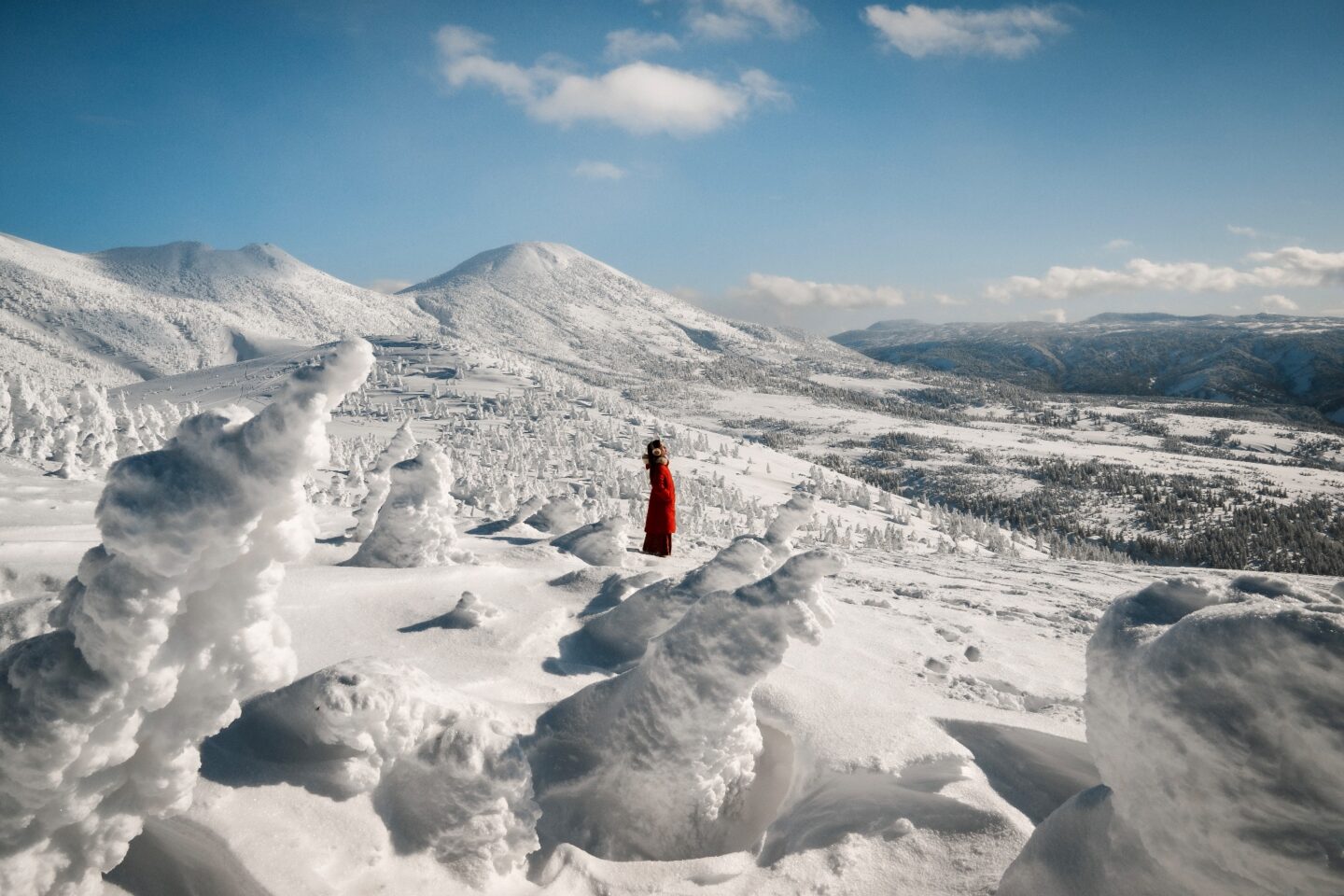 ニコン NIKKOR Z 24-70mm f/4 S｜広角から標準まで、ミラーレス