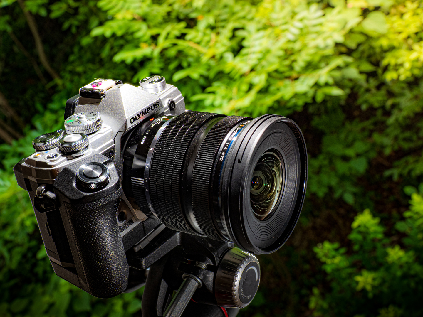 オリンパス M.ZUIKO DIGITAL ED 8-25mm F4.0 PRO レビュー｜シャッター