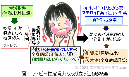 アトピー性皮膚炎の漢方（1）基礎知識 | 病気の悩みを漢方で | 漢方を