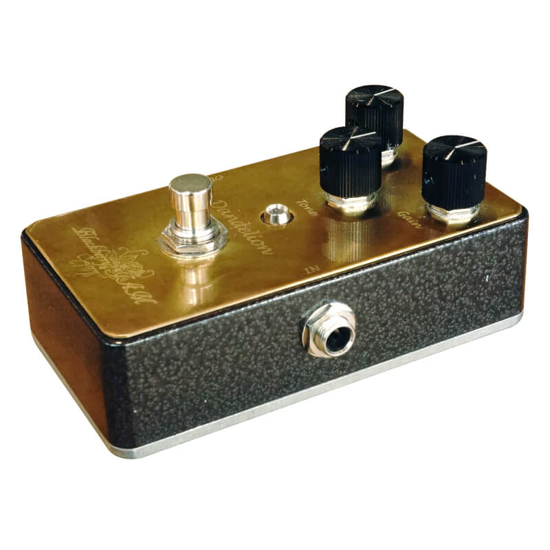 Dandelion | キクタニミュージック