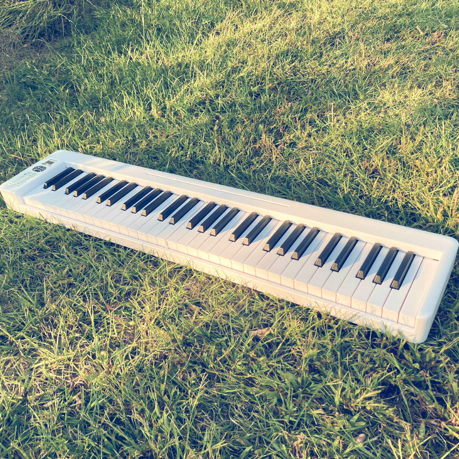 洋書「鍵盤楽器界の巨匠たち」「続・鍵盤楽器界の巨匠たち」編集