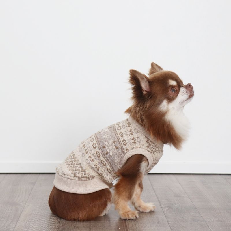 Vネックニットベスト（フォーキーモカ） ベスト