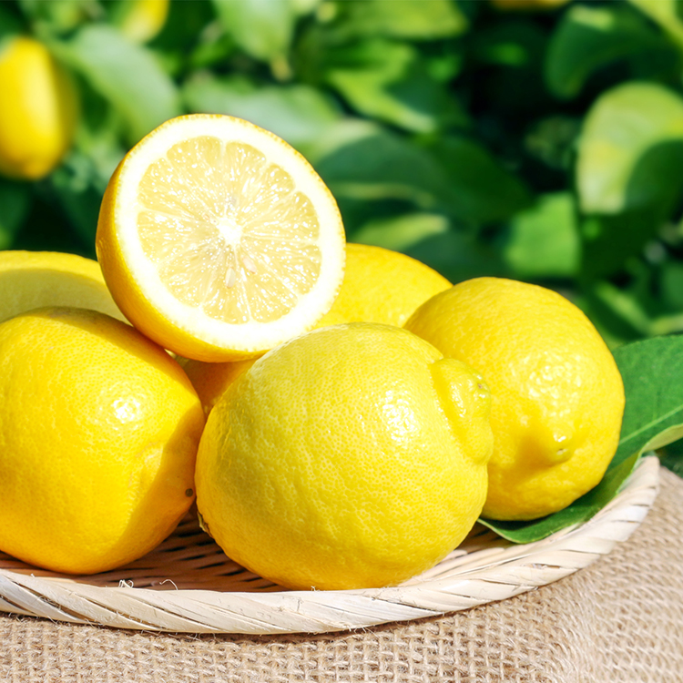 伊豆レモンサイダー - サイダー - 商品情報 - 木村飲料株式会社