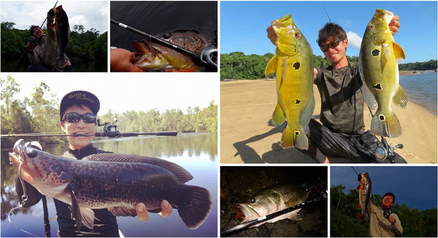 トランスセンデンス プルクラ62B 25 【シーバスルアー専門店 キング