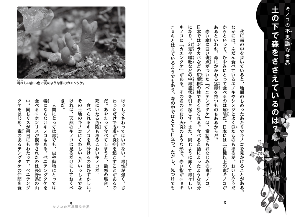 摩訶不思議！ 植物のチカラ (5分後に世界のリアル) ：永山多恵子 - 金