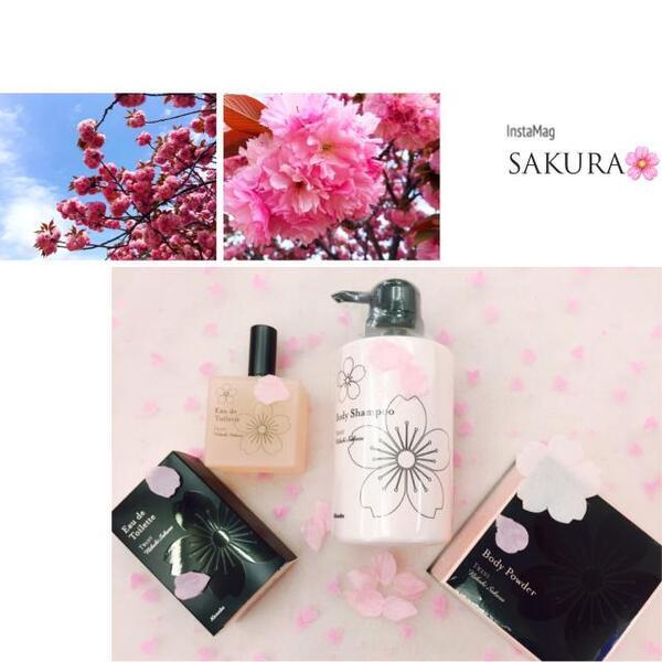 トワニー オードトワレ にほひ桜｜紹介記事｜キレイエ