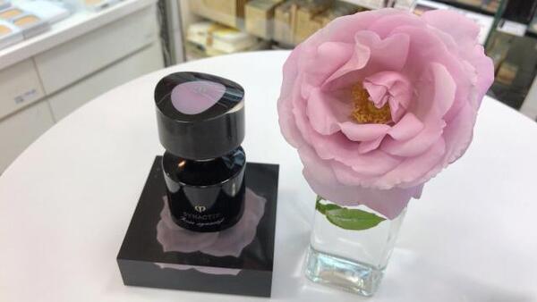 クレ・ド・ポー ボーテ シナクティフ ローズシナクティフ｜紹介記事