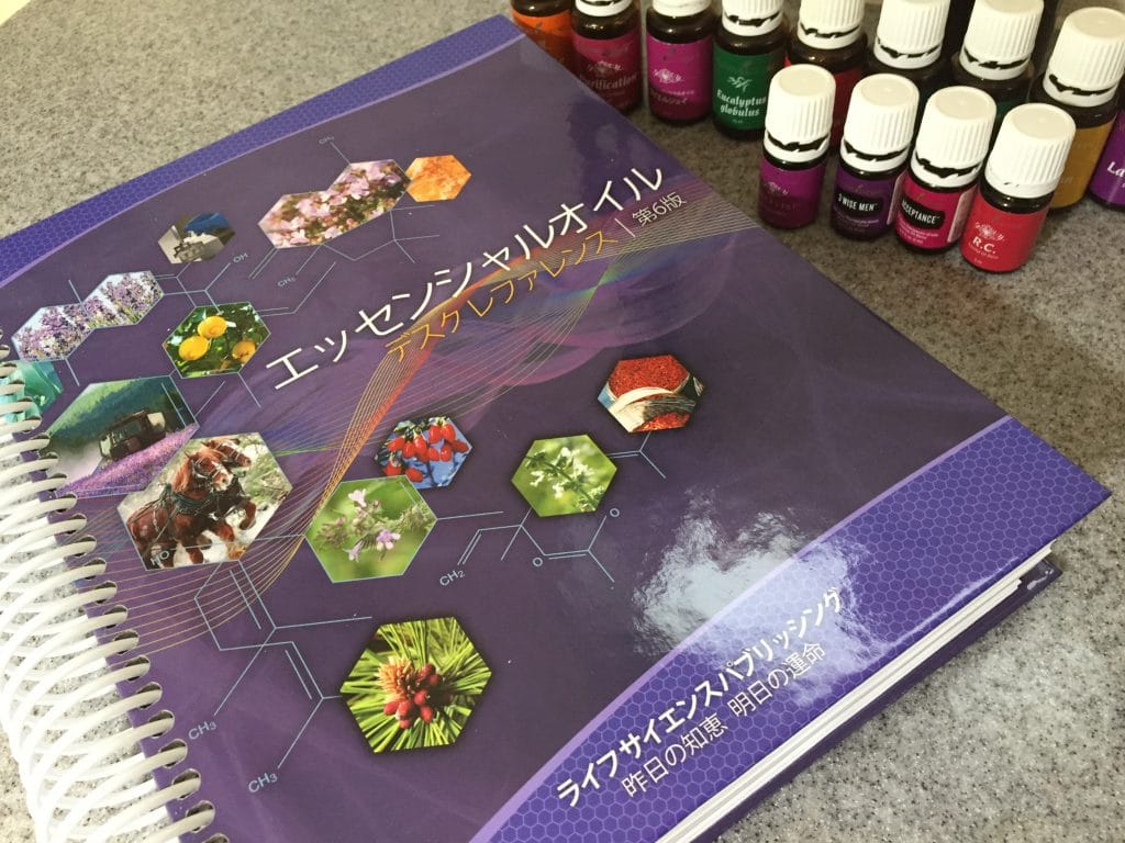 mikasaヤングリヴィング デスクレファレンス第6版 絶版商品 mikasa