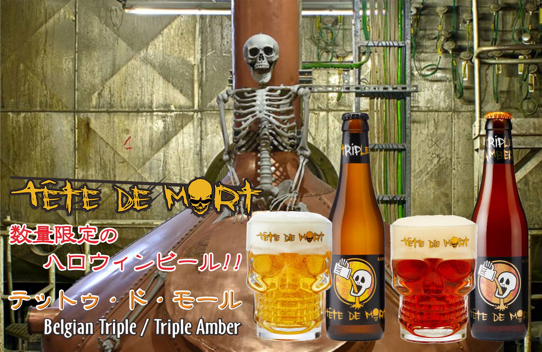 0a980de37a2eb1e87025bf70313ac5