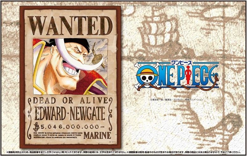 □208スモールピースジグソーパズル ワンピース 手配書「エドワード