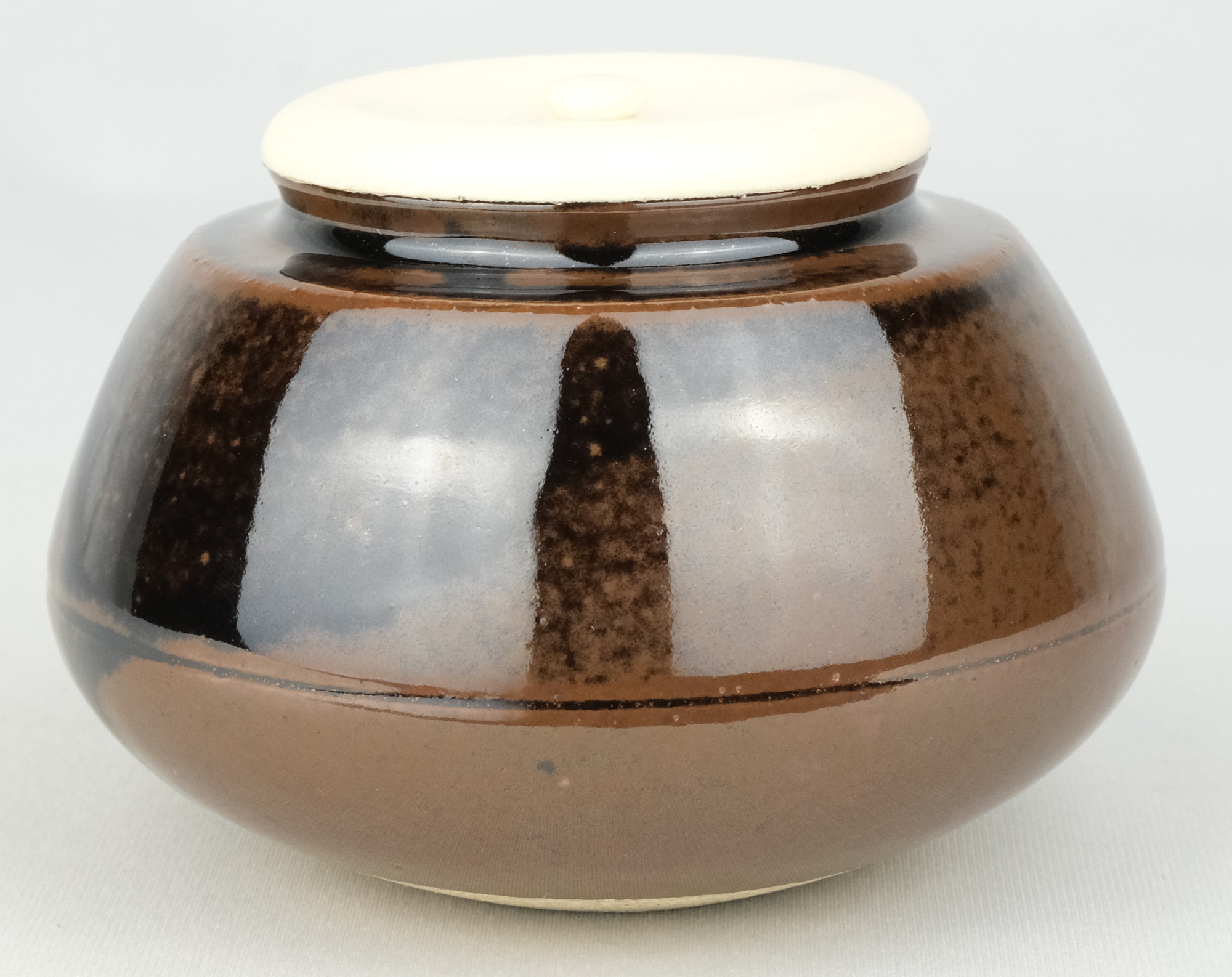 七竜堂】膳所焼□淡海ぜ々 陽炎園 作□金彩 鎗梅