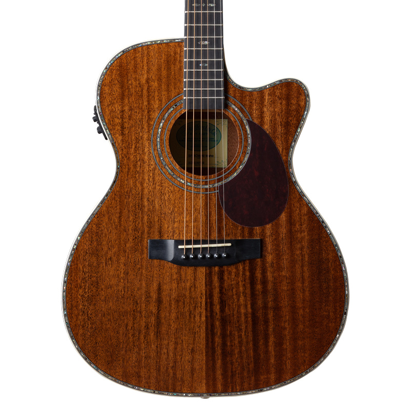 Stafford SF-5C All Maho | クロサワ楽器店