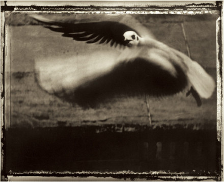 Sarah Moon 12345【KYOTO GRAPHIE 2016 Associated Program】 | 京都で