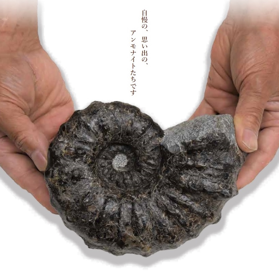 北海道博物館第19回企画テーマ展・北海道化石会発足50周年記念展