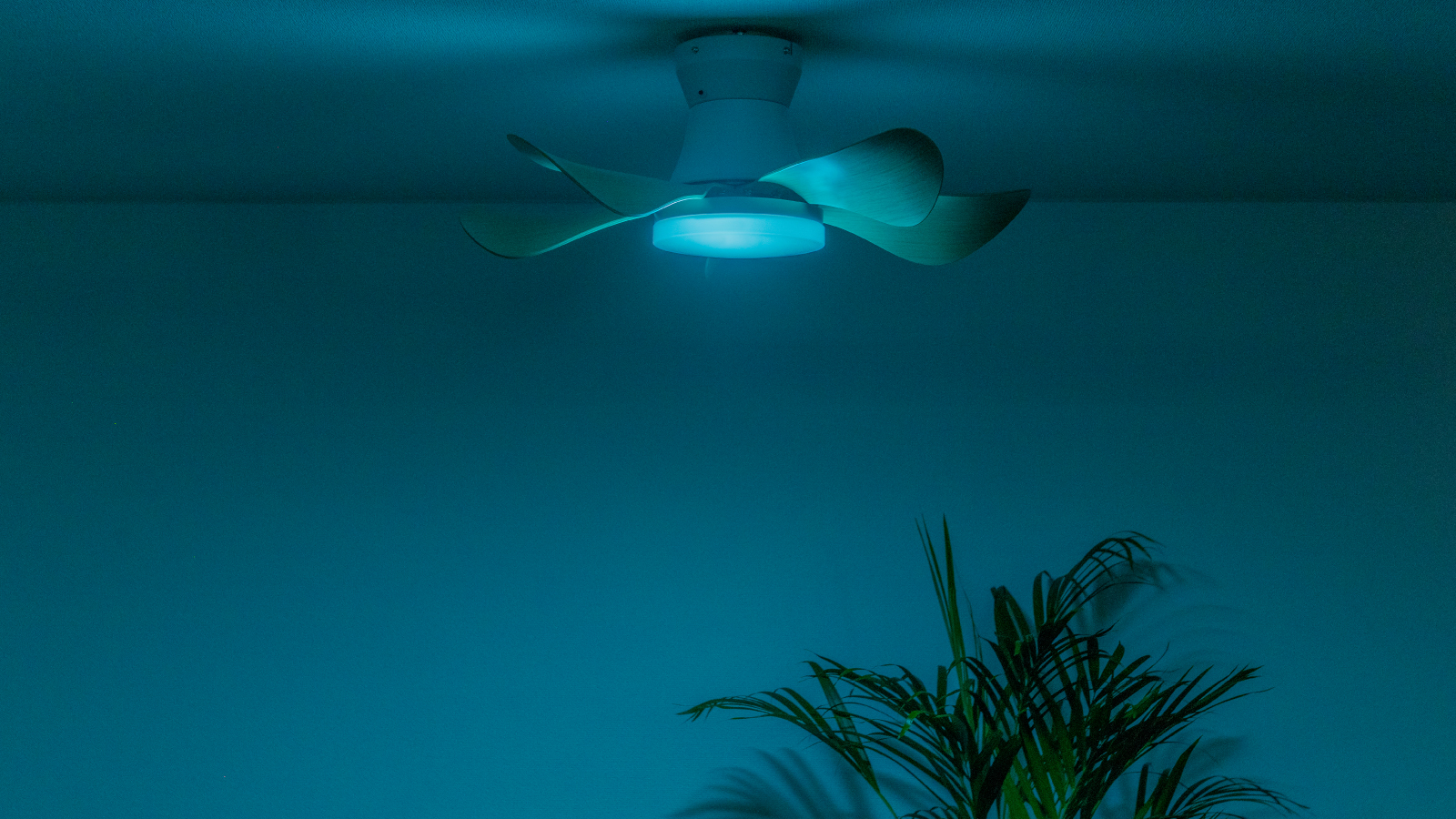 小型軽量＆こだわりのあかり！自然でやわらかな風を感じる「LED