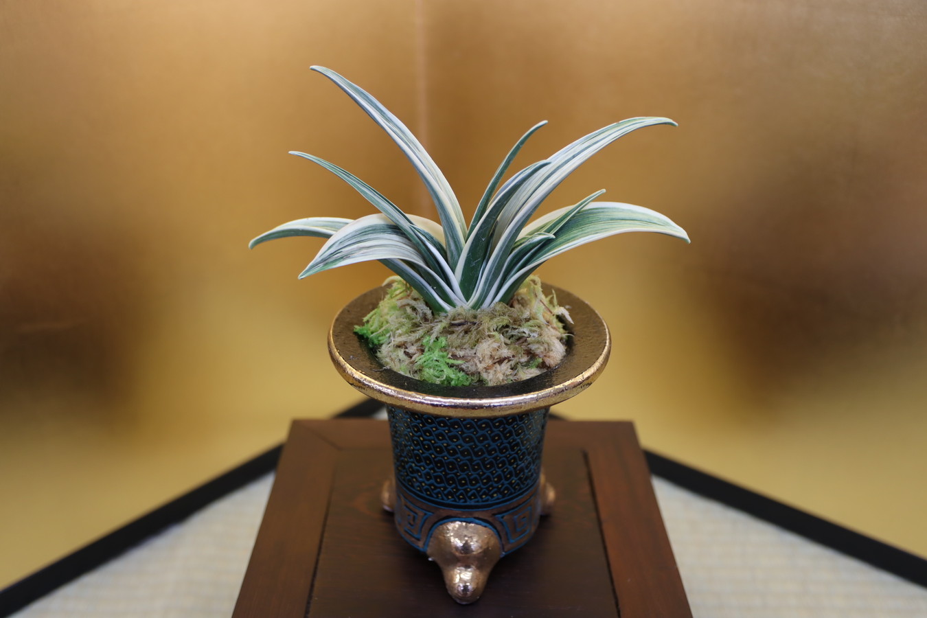 最晃閣 (さいこうかく) Saikokaku – おもとの豊明園（ほうめいえん）