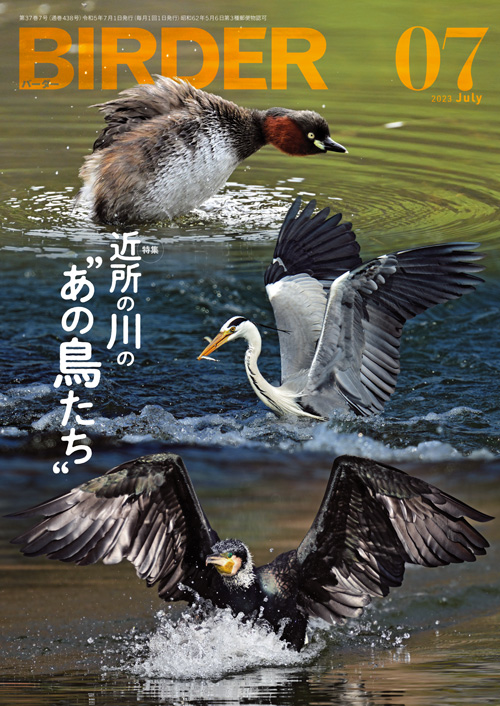 美品【BIRDER 】2023年 BIRDER 2023年 09 月号 [雑誌] |本 | 通販 | Amazon