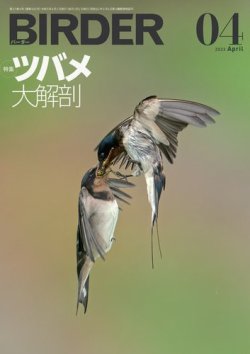 BIRDER 2023年1月号～ Hobby's World｜野鳥撮影やバードウォッチングの