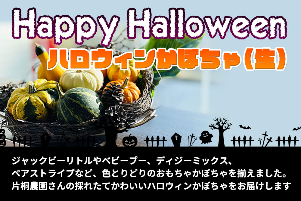 ギフトバザールのハロウィン特集 ハロウィンかぼちゃセットの販売｜お