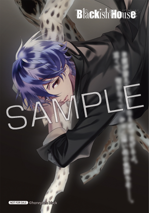 Blackish House | Blackish House ←sideZ