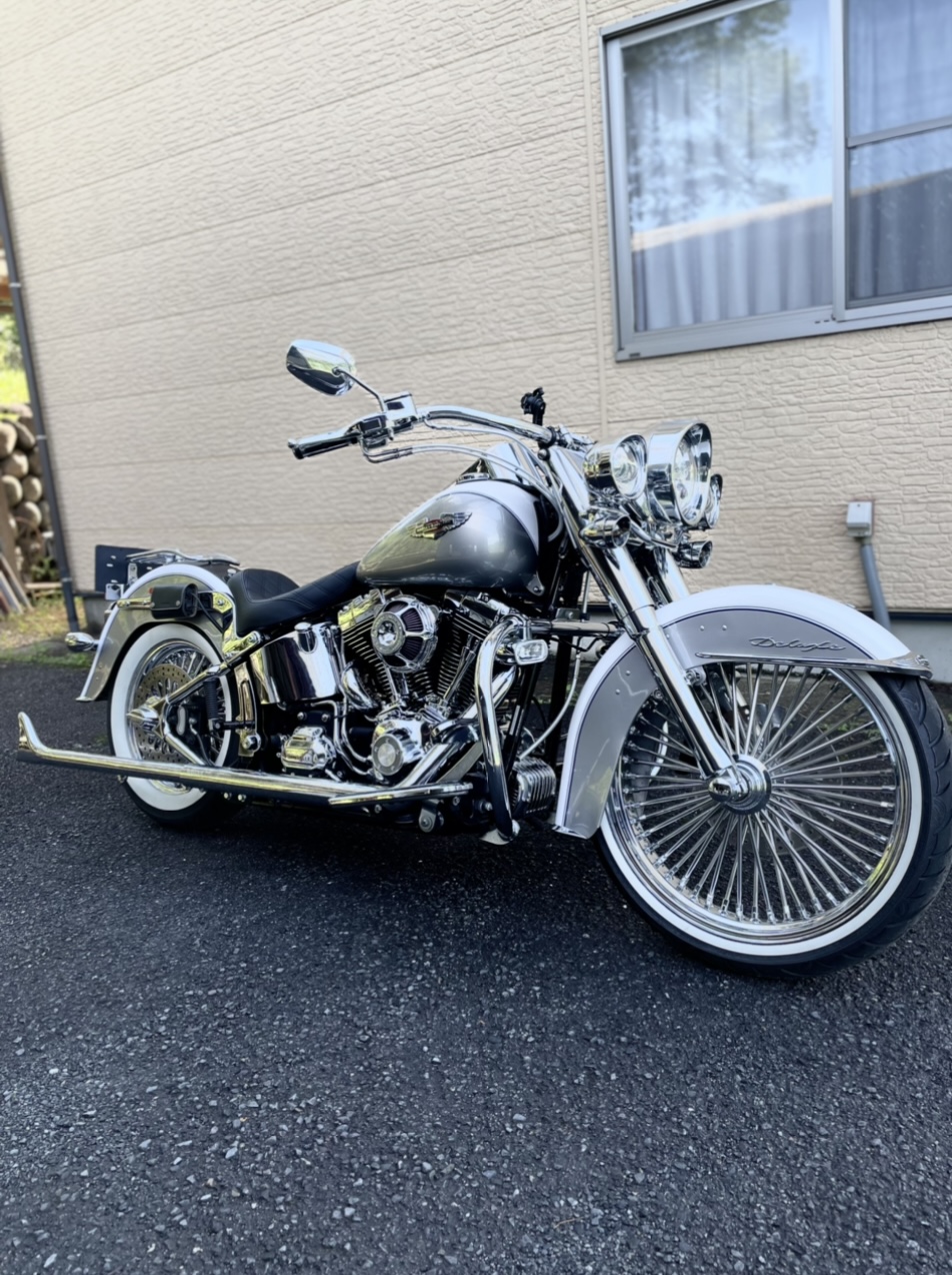 さりげなくチョロスタイル - ハーレーカスタムガイド