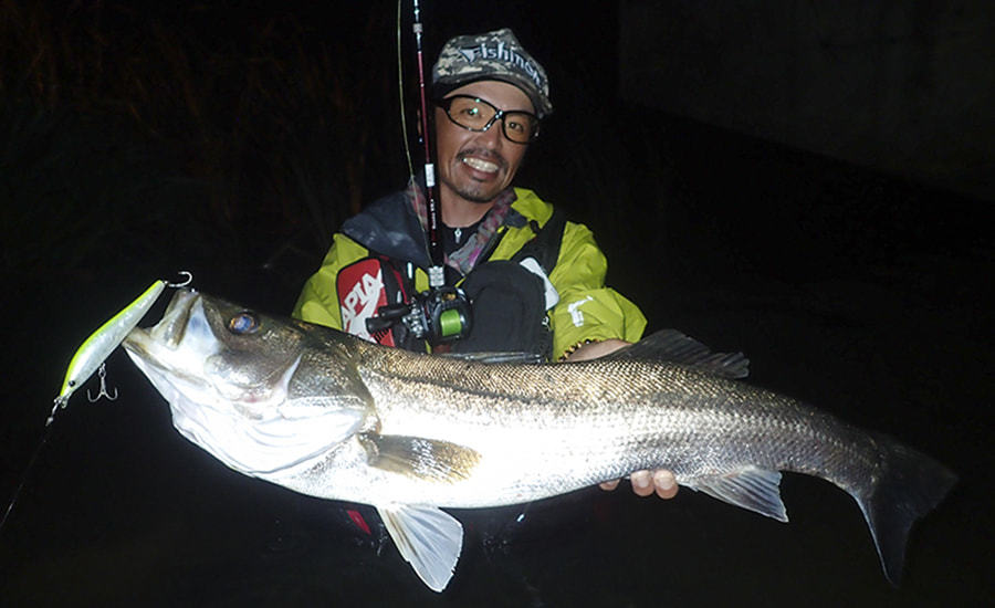 Fishman] Beams CRAWLA 8.3L+