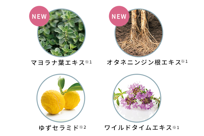 スクワクリーミィ泡洗顔 | 無添加主義 ハーバーの公式オンラインショップ