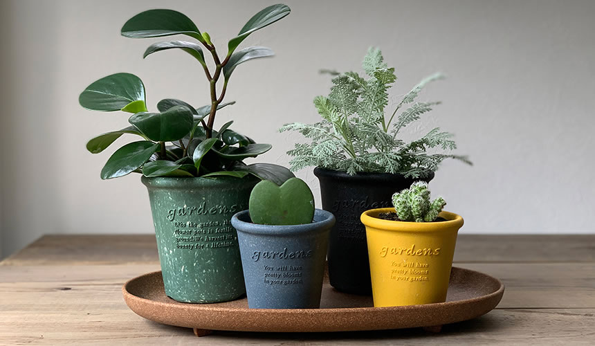 八幡化成株式会社』|Plate Oval Type エコプレートオーバル