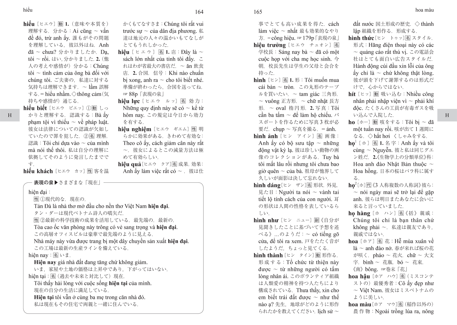 パスポート初級ベトナム語辞典 - 白水社