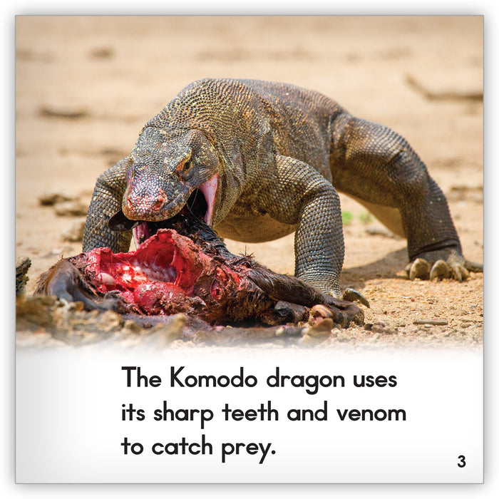 Komodo Dragon - Zoozoo Animal World - Hameray Publishing