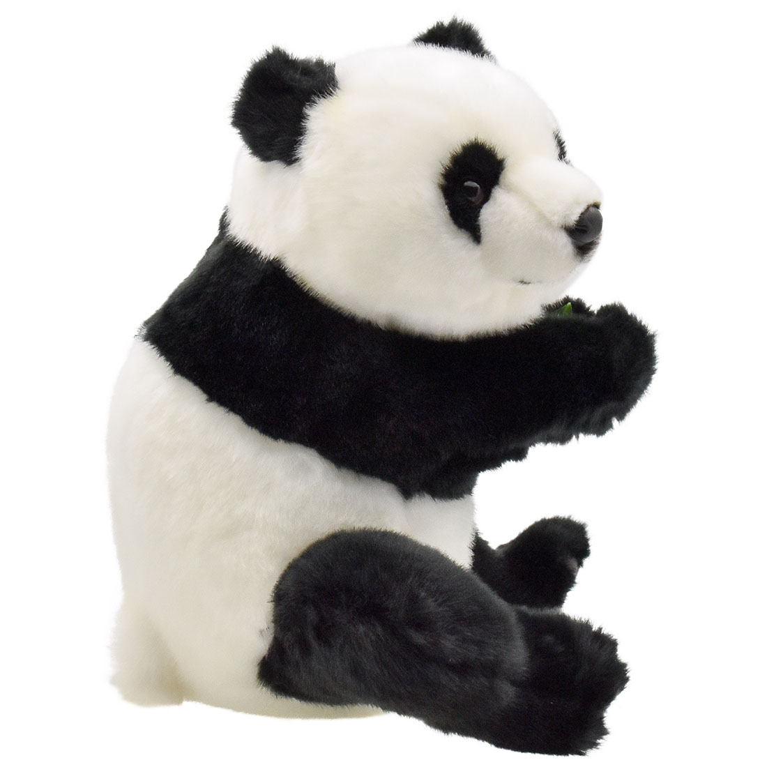 ジャイアントパンダ 33 | HANSA