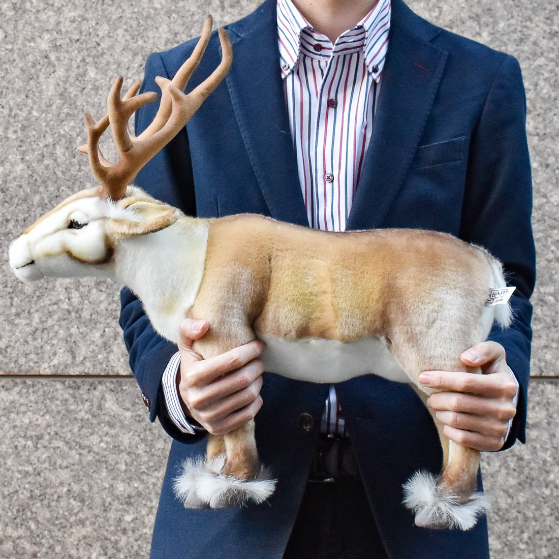 トナカイ 45 | HANSA