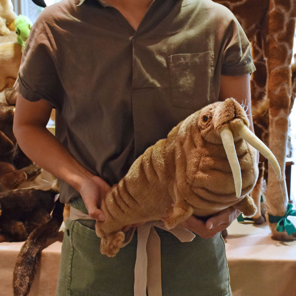 セイウチ 44 | HANSA